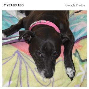 Meet your Posher, Cathy